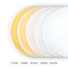LED Светильник аварийный накладной с датчиком движения VIDEX 30W 2700-6500K 220V