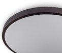 RING матовый 60W 395*60мм 3000К-6500К с ДК бронзовый