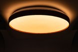 FOREST звездное небо 60W 395*65мм 3000К-6500К из ДК дуб