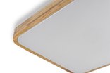 GLOW матовый 60W 391*391*65мм 3000К-6500К с ДК акация