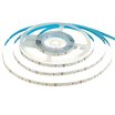 Світлодіодна стрічка біла 12V Motoko smd2835 60LED/м IP20