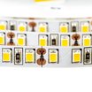 Світлодіодна стрічка біла нейтральна 12V smd2835 120LED/м IP20