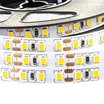 Светодиодная желтая лента 12V AVT smd3528 120LED/м IP20