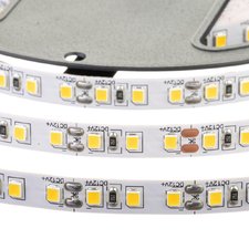 Світлодіодна стрічка біла холодна 24V AVT smd2835 120LED/м IP20