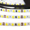 Світлодіодна стрічка 5mm холодна біла 12V AVT smd2835 120LED/м IP20 Світлодіодна стрічка 5mm холодна біла 12V AVT smd2835 120LED/м IP20